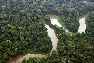 Rio sinuoso na Floresta Nacional de Bom Futuro, em Rondônia
© Juvenal Pereira / WWF Brasil
© Juvenal Pereira / WWF Brasil