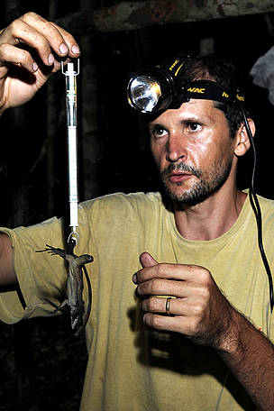 Após serem capturados, répteis e amfíbios são pesados e medidos
© WWF-Brasil / Adriano Gambarini
© WWF-Brasil / Adriano Gambarini