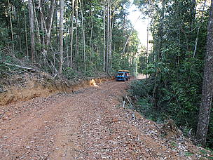 A construção de estradas na floresta requer cuidadoso planejamento para reduzir impactos ambientais
© WWF-Brasil/Bruno Taitson Estrada em área no município de Paragominas (PA)
© WWF-Brasil/Bruno Taitson