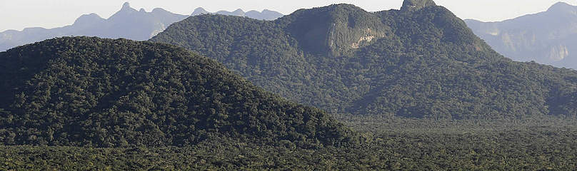 Estação Ecológica Juréia-Itatins
© WWF-Brasil / Adriano Gambarini
© WWF-Brasil / Adriano Gambarini
