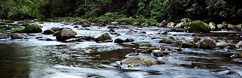 Parque Tuim, São Paulo, Brasil
© WWF-Brasil / Adriano Gambarini Parque Tuim, São Paulo, Brasil rel=