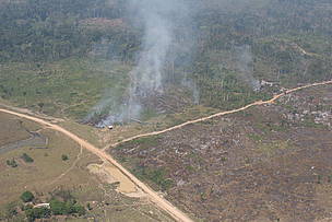 Detalhe de área desmatada na Amazônia.
© WWF-Brasil/Juvenal Pereira Desmatamento próximo a Rio Branco (AC)
© WWF-Brasil/Juvenal Pereira