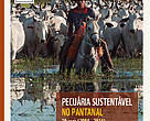 Pecuária Sustentável no Pantanal 10 anos (2004-2014) - Memória do projeto que reúne a cadeia produtiva de carne bovina e o WWF-Brasil no desenvolvimento sustentável do bioma