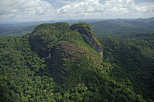 Programa de Áreas Protegidas da Amazônia (Arpa). 
© WWF-Brasil/Zig Koch