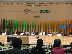 O debate sobre o valor econômico da biodiversidade é destaque em dia de eventos sobre o tema no início da segunda semana da COP 10 da CDB, em Nagoia. 