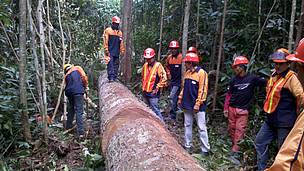 A capacitação foi oferecida a produtores com os quais o WWF-Brasil já trabalha na região e técnicos que lidam com o manejo florestal