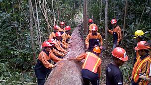 Durante a capacitação, os participantes aprenderam a reduzir os impactos da atividade e assim diminuir os danos à floresta