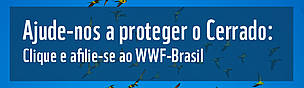 Ajude-nos a proteger o Cerrado. 
© WWF-Brasil