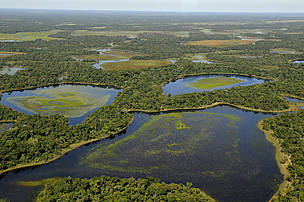 vista aérea Pantanal 
© WWF-Brasil/Adriano Gambarini