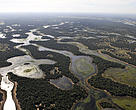 The Pantanal is an area the size of Belgium,
Switzerland, Portugal and Holland combined.