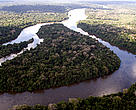 Vista aérea da Floresta Nacional de Altamira