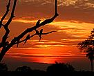 Pôr-do-sol no Pantanal 
