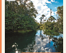 Áreas Prioritárias para conservação da biodiversidade no Cerrado e Pantanal