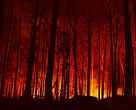Austrália está sofrendo desde setembro com incêndios florestais, que se intensificaram na semana passada
