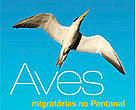 Aves Migratórias - Distribuição de aves limícolas neárticas e outras espécies aquáticas do Pantanal
