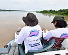 Pesquisadores da Iniciativa dos Botos da América do Sul (SARDI, da sigla em inglês) mapeiam mais de 900 botos cor-de-rosa e cinza na Amazônia