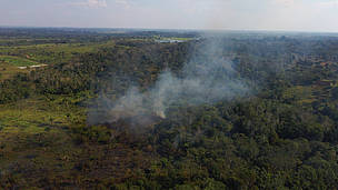 É possível encontrar queimadas nas proximidades de Rio Branco, capital do Acre