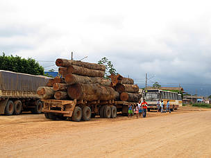 Exploração ilegal de madeira é um dos maiores problemas ambientas da Amazônia