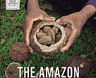 Cover for the book "The Amazon we want - Integrating Conservation and Development"