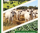 Certificados de Recebíveis do Agronegócio – CRA Verde. Incentivando práticas mais responsáveis na produção de commodities no Brasil
