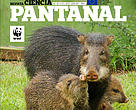 Portada de la revista Ciencia Pantanal - volumen 05.