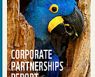 Capa Corporate Partnerships Report 2018
