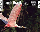 Capa da Revista Panda Brasil - Edição 03