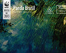 Capa - Revista Panda Brasil 07