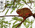 Revista Panda Brasil - Edição 08
