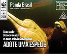 Revista Panda Brasil - Edição 12