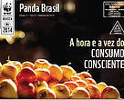Revista Panda Brasil 11