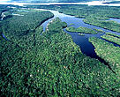 O Parque Nacional Anavilhanas, localizada no estado do Amazonas, é uma das 95 UCs apoiadas pelo Arpa.
