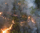 Registro de queimadas em setembro de 2020, no Estado de Rondônia