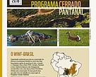 Factsheet Cerrado Pantanal