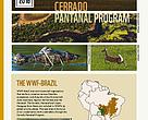 Cerrado Pantanal Program