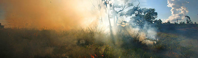 Fumaça sobe de fogo na Amazônia, do lado da estrada Interoceânica. 
© Brent Stirton / Getty Images / WWF