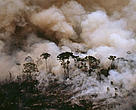 No Brasil, uma das principais razões para emissão de CO2 são os incêndios florestais