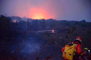 Sistemas de prevenção a incêndios no Pantanal precisam ser fortalecidos no Brasil, Bolívia e Paraguai