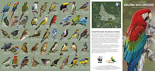 Parte externa do Guia de Aves da Amazônia Mato-Grossense