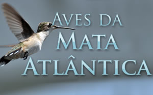 Aves da Mata Atlântica 
© WWF-Brasil