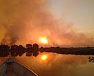 O fogo devastou o Pantanal em 2020