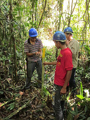 Durante a atividades práticas do curso, participantes abriram trilhas, utilizaram bússolas e identificaram espécies florestais