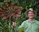Thomas Lovejoy (1941-2021), biólogo considerado padrinho da biodiversidade, pesquisador do ponto de inflexão da Amazônia (tipping point)