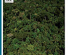 Cover RAPPAM - MANAGEMENT EFFECTIVENESS OF BRAZILIAN FEDERAL PROTECTED AREAS: RESULTS OF 2010