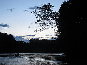 Margens do rio Madeirinha, durante Expedição Guariba-Roosevelt 2010.