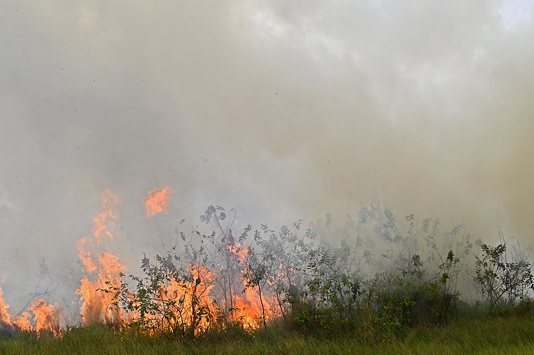 Incêndio em Lábrea, no extremo sul do estado do Amazonas, que fica na divisa com o Acre e Rondônia, que é o segundo município com mais focos da Amazônia ao longo do mês de setembro. 