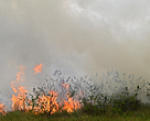 Incêndio em Lábrea, no extremo sul do estado do Amazonas, que fica na divisa com o Acre e Rondônia, que é o segundo município com mais focos da Amazônia ao longo do mês de setembro.