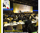 Contribuição do WWF-Brasil para a implementação e aumento de ambição da NDC do Brasil ao Acordo de Paris