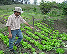 Irineu Wiggers Warmeling, é um exemplo de produtor rural catarinense em dia com as leis ambientais