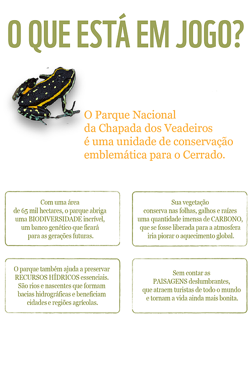  WWF Brasil